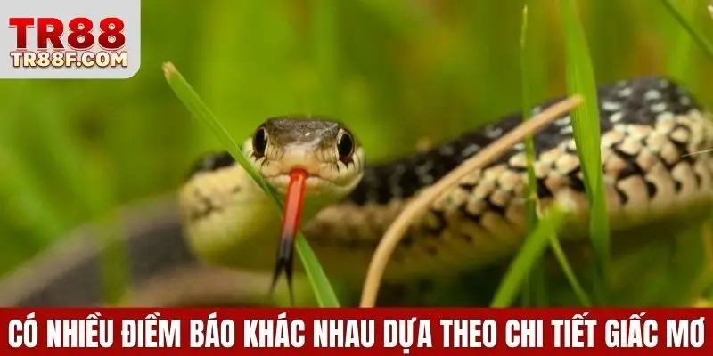Mơ Thấy Rắn Là Điềm Gì? Giải Mã & Con Số May Mắn Cụ Thể - WINLUMO99.LOL
