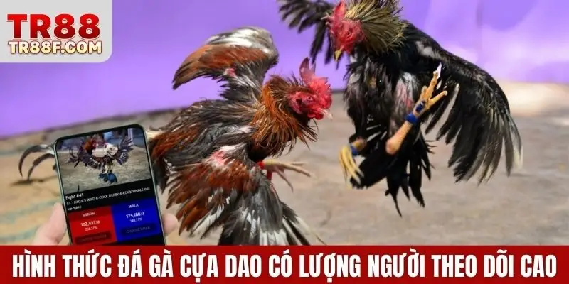 Đá Gà Cựa Dao - Bí Kíp Cược Thắng Lớn Khi Tham Gia Bắt Kèo - WINLUMO99.LOL