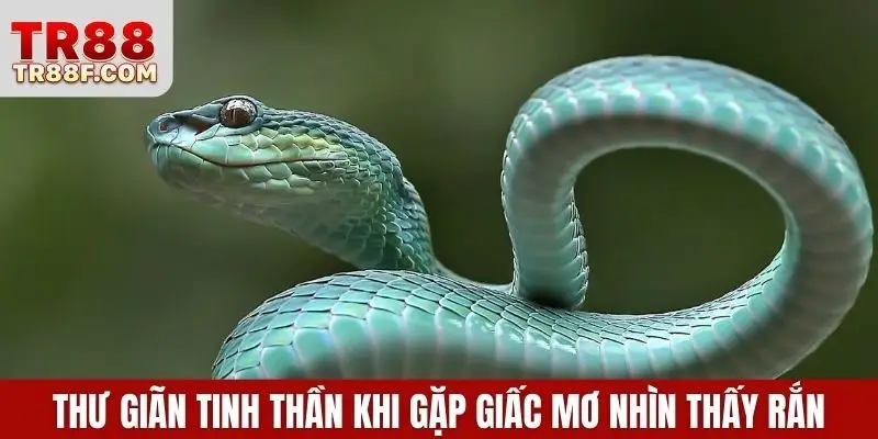Mơ Thấy Rắn Là Điềm Gì? Giải Mã & Con Số May Mắn Cụ Thể - WINLUMO99.LOL