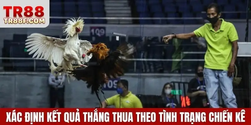 Đá Gà Cựa Sắt - Luật Chơi & Bí Quyết Chọn Chiến Kê Chuẩn - WINLUMO99.LOL